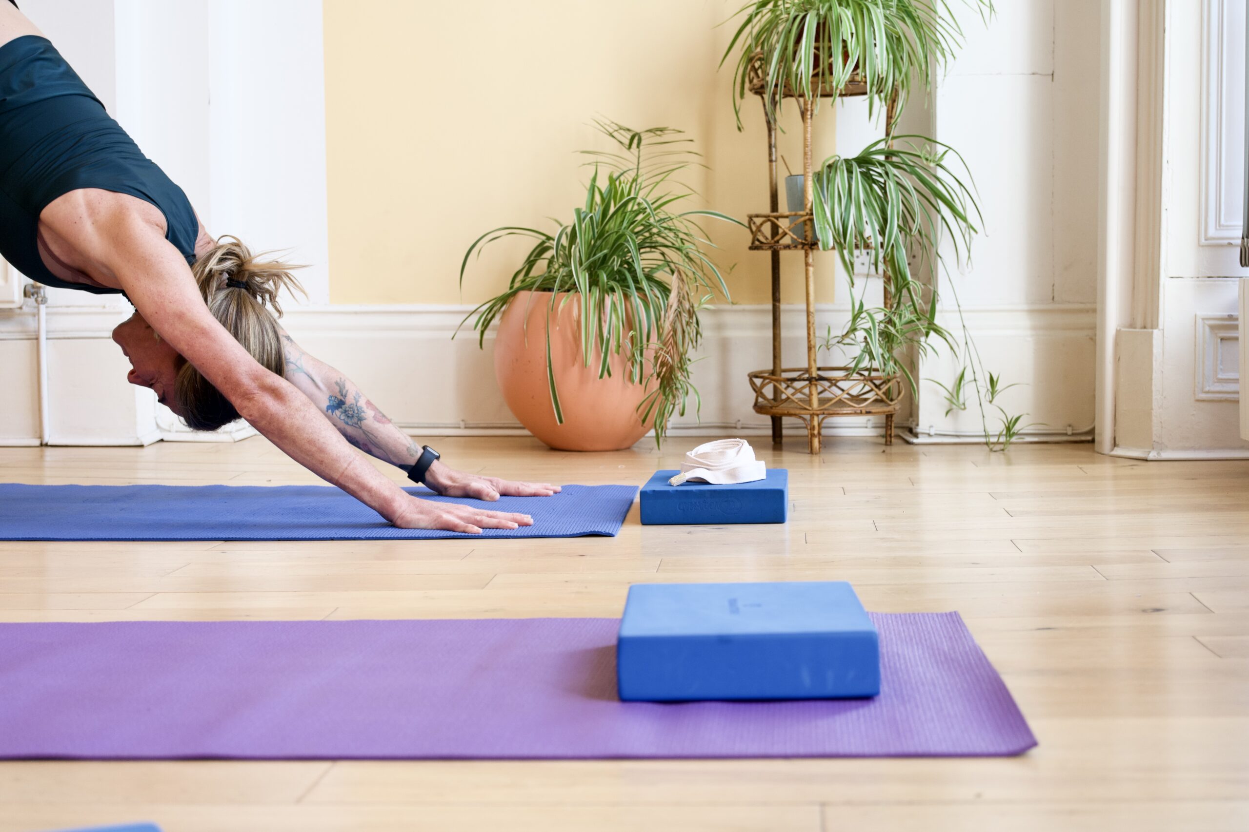 Yoga, Meditation and Fitness